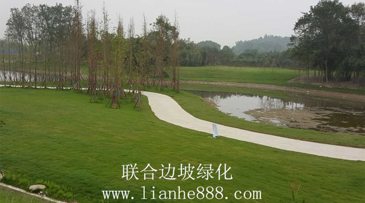 三維網噴播.jpg